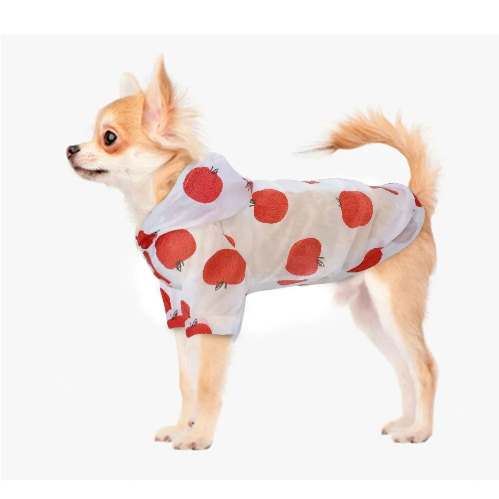 Small Pet Raincoat