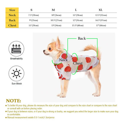 Small Pet Raincoat